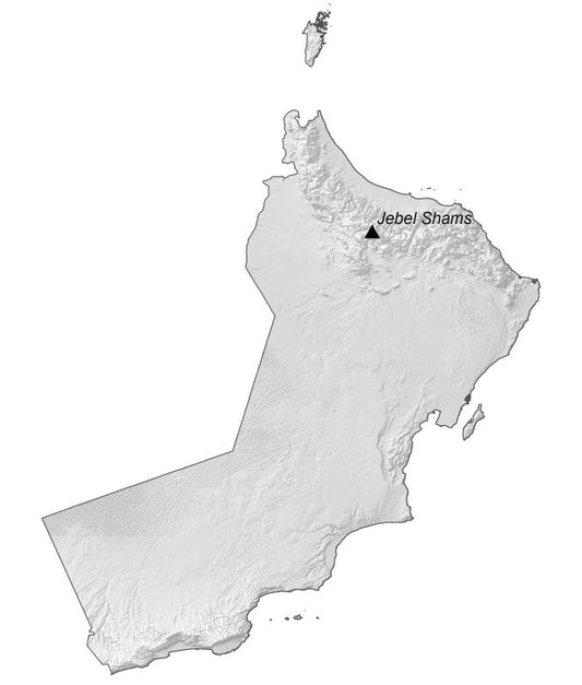 Oman Elevation Map Glossy Poster Picture Photo Print Banner  Conversationprints