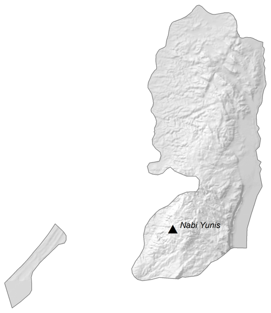 Palestine Elevation Map Glossy Poster Picture Photo Print Banner  Conversationprints
