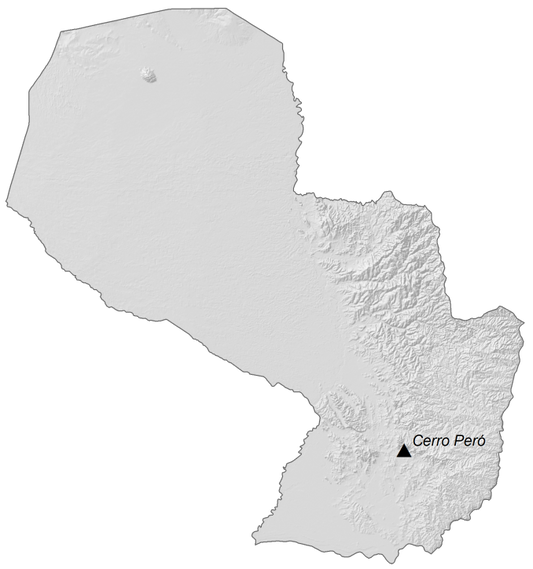 Paraguay Elevation Map Glossy Poster Picture Photo Print Banner  Conversationprints