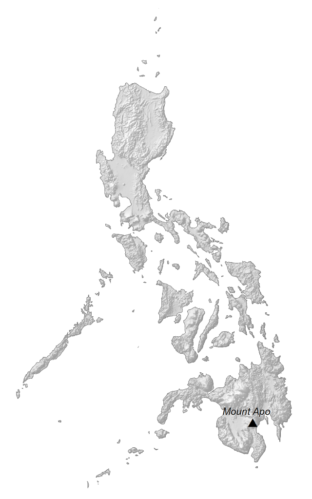 Philippines Elevation Map Glossy Poster Picture Photo Print Banner  Conversationprints