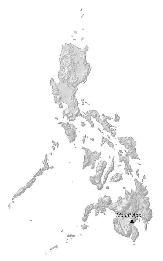Philippines Elevation Map Glossy Poster Picture Photo Print Banner  Conversationprints