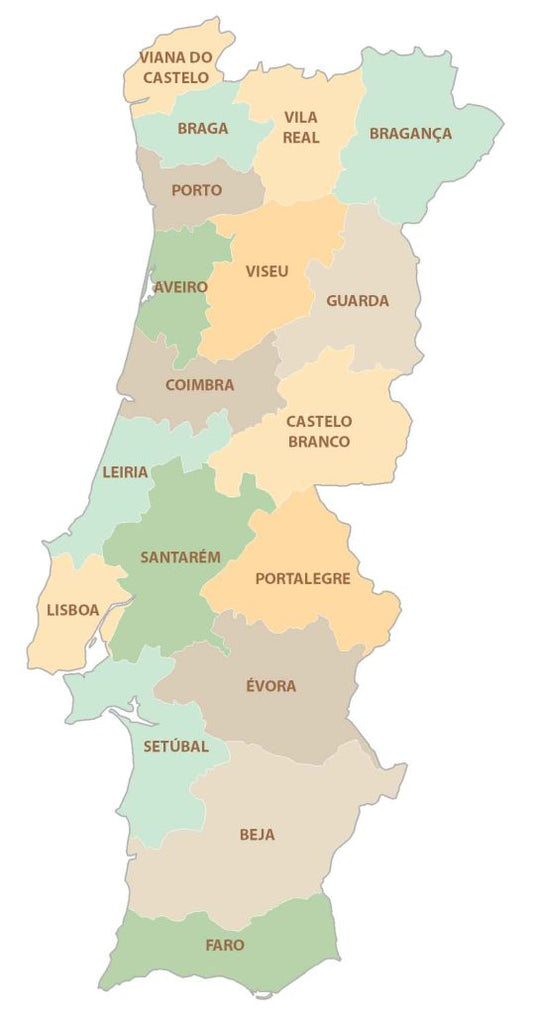Portugal Districts Provinces Map Glossy Poster Picture Photo Print Banner  Conversationprints