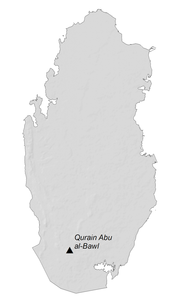 Qatar Elevation Map Glossy Poster Picture Photo Print Banner  Conversationprints
