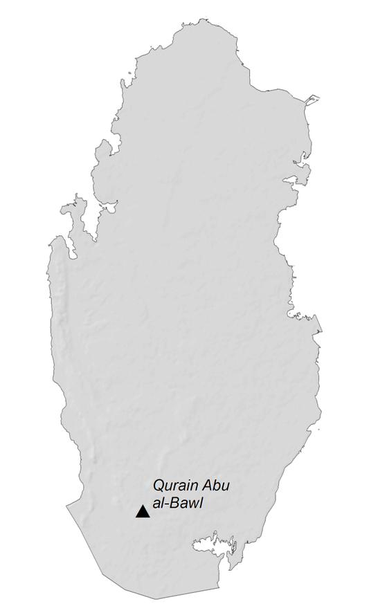 Qatar Elevation Map Glossy Poster Picture Photo Print Banner  Conversationprints