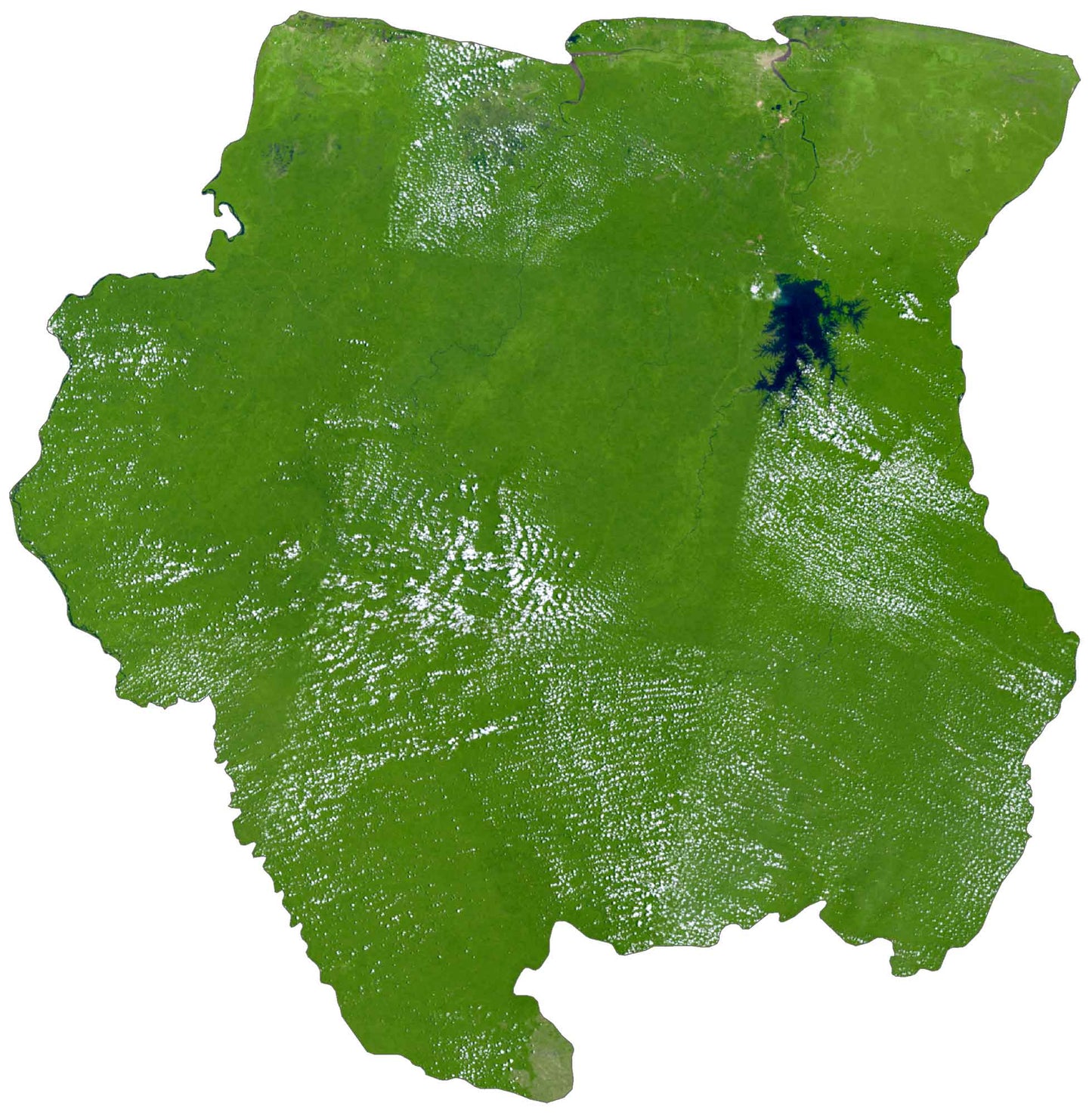 Suriname Satellite Map Glossy Poster Picture Photo Print Banner  Conversationprints