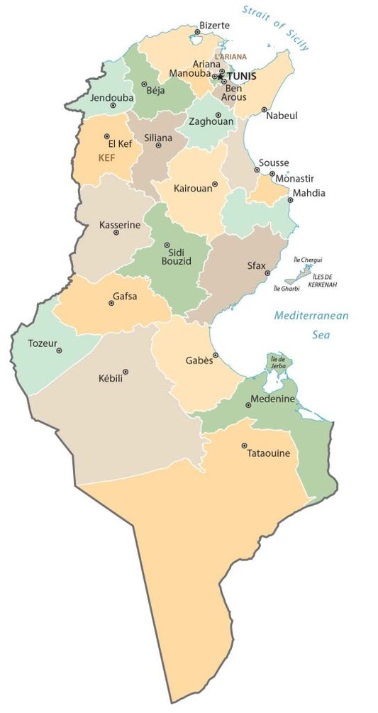 Tunisia Governate Province Map Glossy Poster Picture Photo Print Banner  Conversationprints