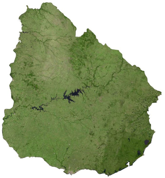 Uruguay Satellite Map Glossy Poster Picture Photo Print Banner  Conversationprints