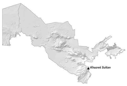 Uzbekistan Hillshade Map Glossy Poster Picture Photo Print Banner  Conversationprints