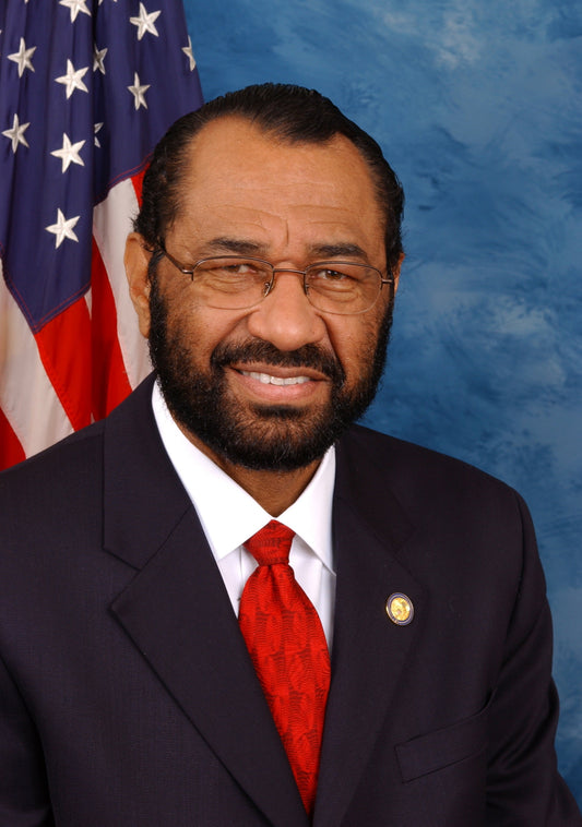 Al Green Official Portrait Texas Glossy Poster Picture Photo Print Banner  Conversationprints