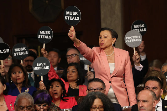 Congress Democrats Musk Steals Signs Poster Picture Photo Print Banner  Conversationprints