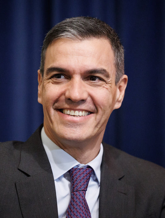 Pedro Sanchez Spain Prime Minister Poster Picture Photo Print Banner  Conversationprints