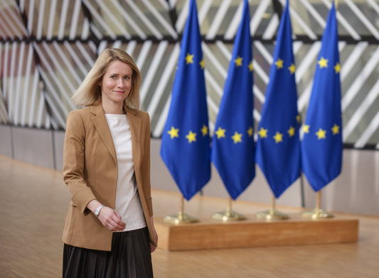 Kaja Kalles Eu High Representative Poster Picture Photo Print Banner  Conversationprints