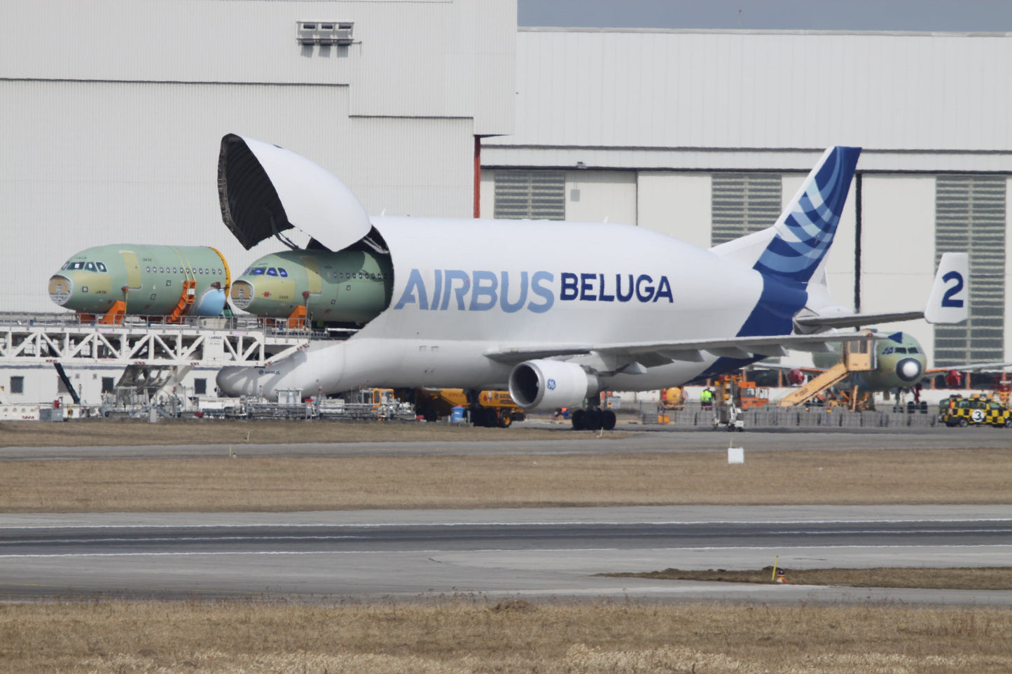 Airbus Beluga Plane Unloading Glossy Poster Picture Photo Print Banner  Conversationprints