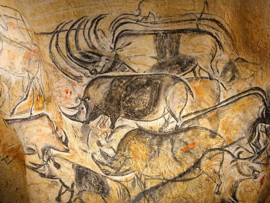Chauvet Cave Paleolithic Glossy Poster Picture Photo Print Banner  Conversationprints
