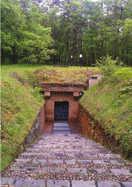 Lascaux Cave Entrance Glossy Poster Picture Photo Print Banner  Conversationprints