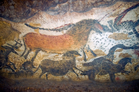 Lascaux Cave Prehistoric Cave Glossy Poster Picture Photo Print Banner  Conversationprints