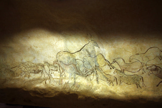 Lascaux Cave Animal Drawings Glossy Poster Picture Photo Print Banner  Conversationprints