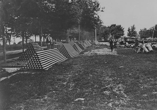 Fort Lesley J. Mcnair Aresenal Grounds Poster Picture Photo Print Banner  Conversationprints
