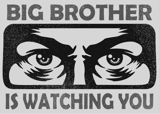 Big Brother Is Watching You Black/White Poster Picture Photo Print Banner  Conversationprints