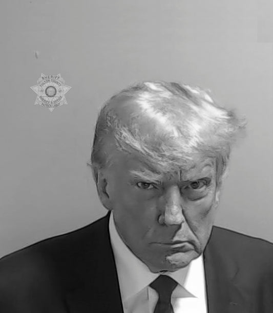 Donald Trump Mugshot Black & White Poster Picture Photo Print Banner  Conversationprints