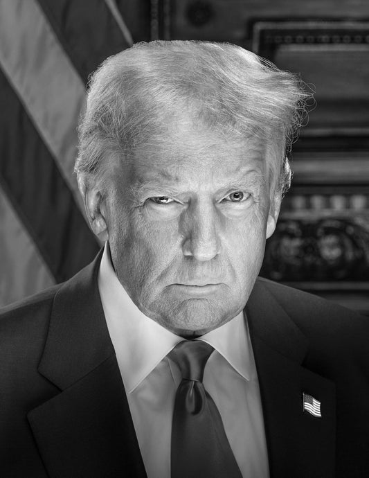 Donald Trump 2025 Portrait Black/White Poster Picture Photo Print Banner  Conversationprints