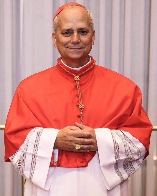 Pope Leo Xiv Cardinal Portrait Glossy Poster Picture Photo Print Banner  Conversationprints