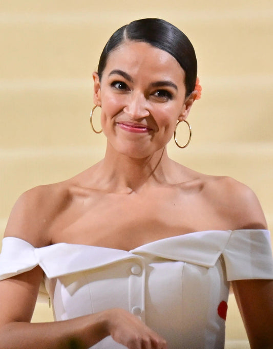 Alexandria Ocasio-Cortez Gown Aoc Poster Picture Photo Print Banner  Conversationprints