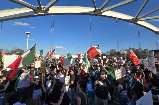 Houston Texas Ice Protests 2025 Glossy Poster Picture Photo Print Banner  Conversationprints