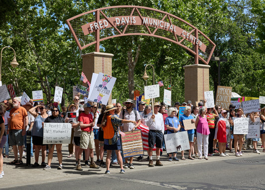 No Kings Day Chicago Protest 2025 Glossy Poster Picture Photo Print Banner  Conversationprints