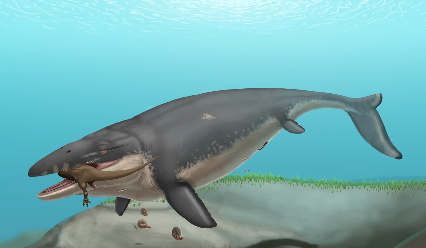 Mosasaurus Aquatic Reptile Glossy Poster Picture Photo Print Banner  Conversationprints