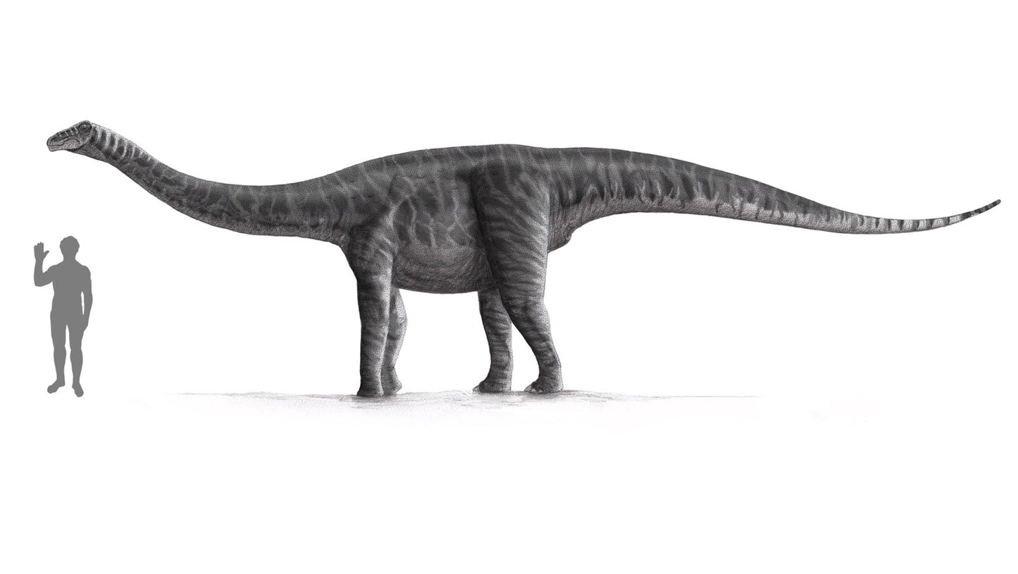 Extinct Titanosaurus Dinosaur Glossy Poster Picture Photo Print Banner  Conversationprints