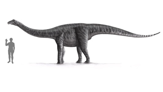 Extinct Titanosaurus Dinosaur Glossy Poster Picture Photo Print Banner  Conversationprints