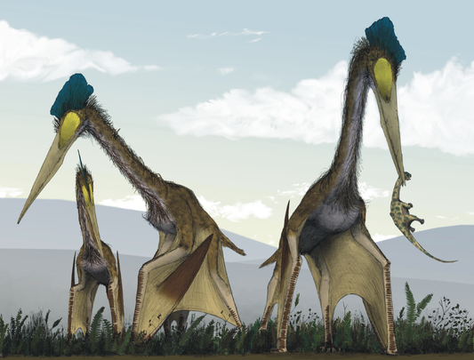 Quetzalcoatlus Pterosaur Glossy Poster Picture Photo Print Banner  Conversationprints