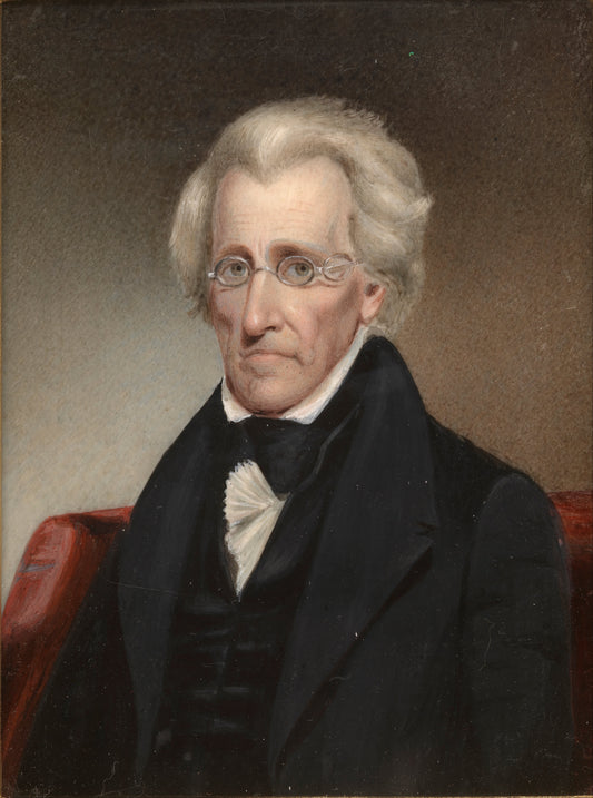 Andrew Johnson Painting President Glossy Poster Picture Photo Print Banner Conversationprints