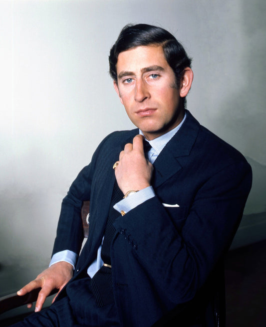King Charles Iii Prince Young Uk Glossy Poster Picture Photo Print Banner Conversationprints