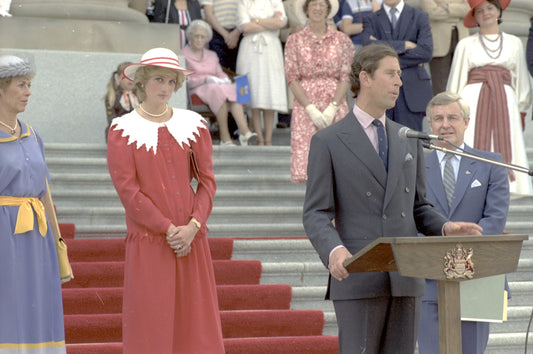 Prince King Charles Princess Diana Glossy Poster Picture Photo Print Banner Conversationprints