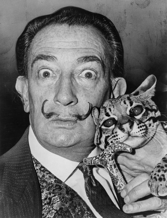 SALVADOR DALI GLOSSY POSTER PICTURE PHOTO PRINT BANNER spanish art cat