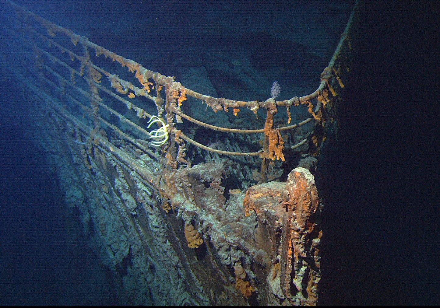 TITANIC SHIP WRECKAGE GLOSSY POSTER PICTURE PHOTO PRINT BANNER bow ocean