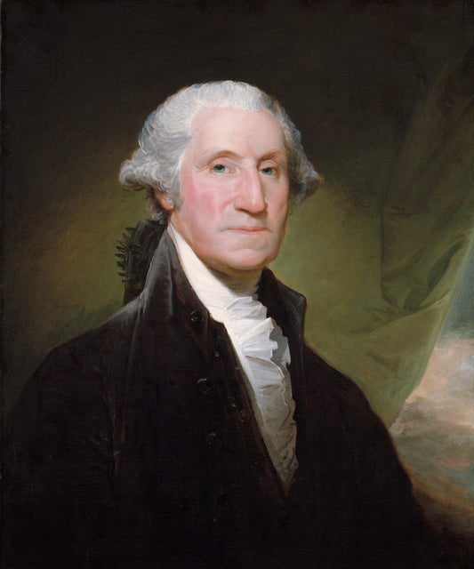 GEORGE WASHINGTON 1795 PORTRAIT GLOSSY POSTER PICTURE PHOTO PRINT BANNER