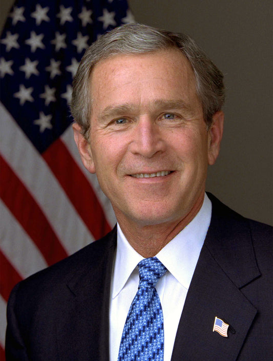 GEORGE W BUSH PRESIDENT PORTRAIT GLOSSY POSTER PICTURE PHOTO PRINT BANNER