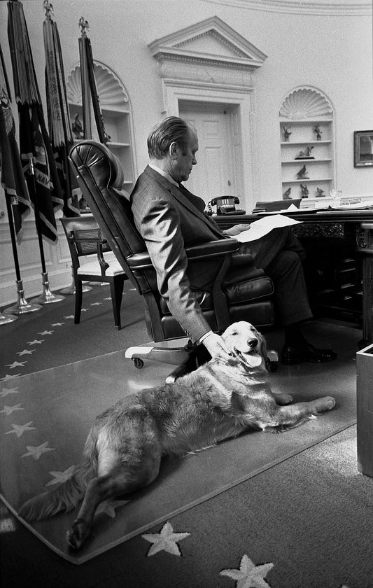 GERALD FORD OVAL OFFICE DOG GLOSSY POSTER PICTURE PHOTO PRINT BANNER