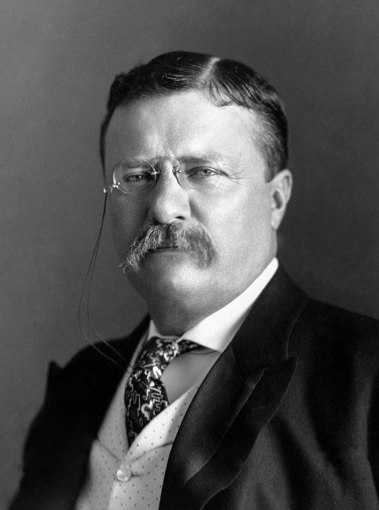 THEODORE ROOSEVELT GLOSSY POSTER PICTURE PHOTO PRINT BANNER peace official