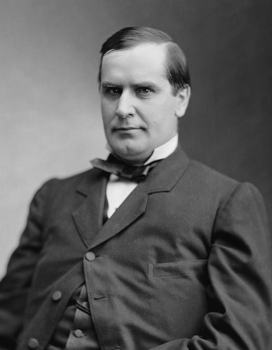 PRESIDENT WILLIAM McKINLEY GLOSSY POSTER PICTURE PHOTO PRINT BANNER usa