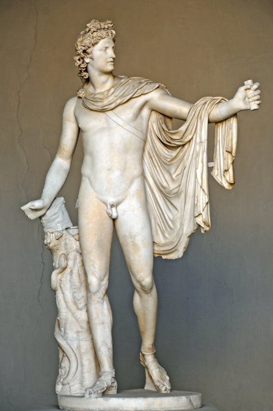 Apollo Belvedere Greek God Vatican Glossy Poster Picture Photo Banner Print Conversationprints