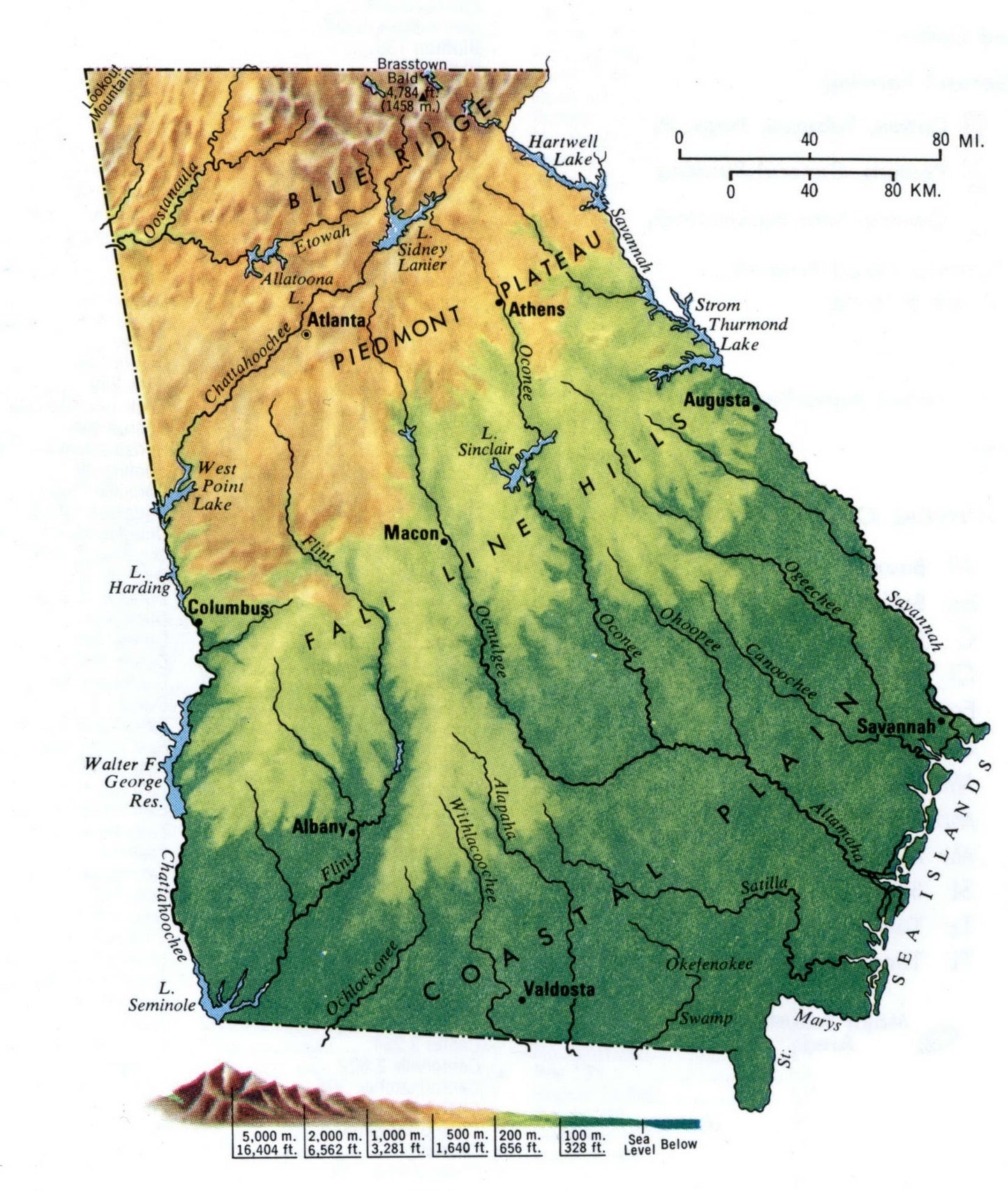 Georgia Topography Map Glossy Poster Picture Photo Print Banner Conversationprints