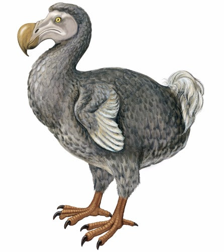 2102