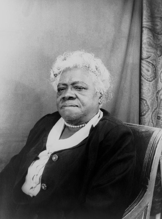 Mary Mcleod Bethune Glossy Poster Picture Photo Print Banner Black Educator Conversationprints