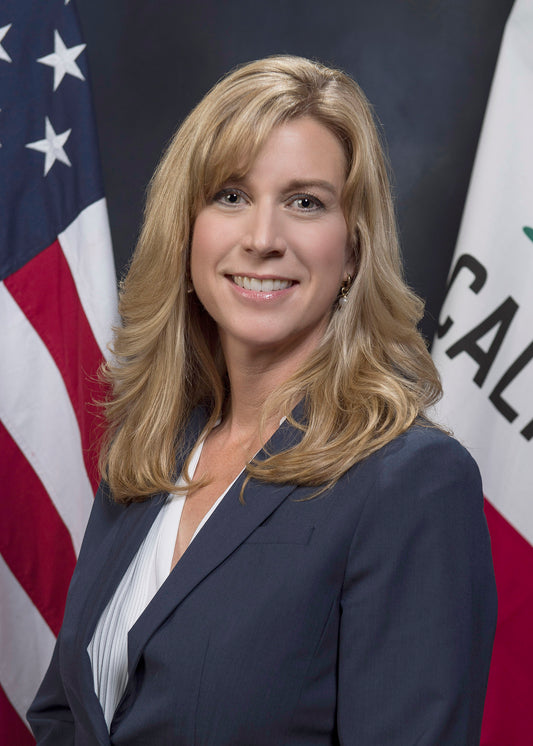 Christy Smith California House Rep Glossy Poster Picture Photo Print Banner Conversationprints